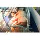 High Tolerance Pig Feeder for Automatic Feeding System in Pig Farming Heavy Duty Design