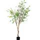 Asethetic Realistic Fake Plants , Beautiful High End Artificial Trees Contemporary