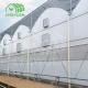 Double Layer PE Film Multi Span Film Greenhouse With Hydroponic System