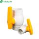 Customized Handle PVC Valve 1/2-6 ANSI Socket Compact Ball Valve for Household Usage