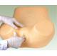 High technology Female medical training manikin / uterus observation , cervix model