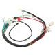 Home Appliance Custom Wire Harness with Y38 K20 Engine and Copper Conductors