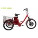 36V 350W 3 Wheel Electric Pedal Bike With Removable Battery