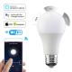 2500K Smart Led Light Bulb 0.3W Bluetooth E27 Alexa Bulb