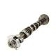 Boigevis Steel Intake Camshaft 06J109021P VW AUDI SKODA Mercedes Benz Camshaft