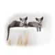 Wall-Mounted Cat Shelf Modern Metal Cat Room Seat with Pre-Drilled Installation