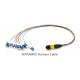 Singlemode 12 Fiber MPO To LC Ribbon Patchcord