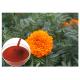 Tagetes Erecta Flower Natural Flower Extracts Powder Preventing Eye Health