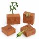 4 PCS Farm Plant Life Cycle Model Figure Cake Toppers Learning Development Toys For Boys Girls Kids