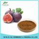 2017 New Product GMP Manufacture Supply Water-soluble Organic Fig Fruit Extract