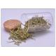 Honeysuckle Flower Natural Flower Extracts 5% Chlorogenic Acid Anti Inflammatory
