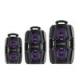 double 6.5inch 8inch 10inch portable wireless battery powered pa speaker mic system