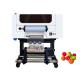 High Performance Digital UV Printing Machine For FLEXIPRINT Rip Interface