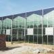 Multi-Span Hollow Roof Glass Greenhouse for Flower Growing US 20/Square Meter Samples