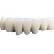 Beautiful Porcelain Dental Crown Not Easy To Wear Acid And Alkali Resistance