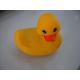 Waterproof Massage Vibrating Baby Rubber Duck 9P Free Eco - Friendly PVC