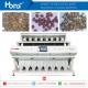 Strong Recommend Wild Jujube Colour Sorter With White Frame Machine