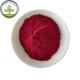 Wholesale Elderberry Powder For Instant Tea Powder