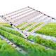 Commercial High Power LED Grow Lamp Full Spectrum Ultraviolet LED Grow Light 900W