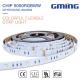 Waterproof 12W 12/24V 1903IC 463nm SMD 5050 LED Strip Light