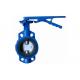 Cast Iron Water Fountain Valve / Handle Level Butterfly Valves DN50 - DN200 PN10 / 16