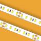 ERP 10mm Indoor LED Light Strip WHT 6500K ERP LED Strip 2835 24VDC