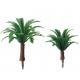 model tree,model palm tree ,layout model tree PT10