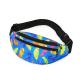 Promotional Womens Mens Hiking Fanny Pack Multicolor Waterproof