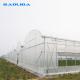 Agriculture Plants Growing Multispan Greenhouse Cooling System With Top / Sides Ventilation