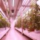 Shipping Container Vertical Farming Commercial Greenhouse with Hydroponics Innovation