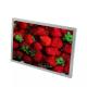 Auo Display G121EAN01.3 12.1 Inch 1280*800 LCD Screen With Sunlight Readable 1500 Nits LVDS IPS