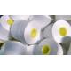 Polyester Poly Poly Core Yarn With High Strength 38S/2 Raw White