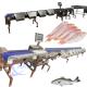 Pelagic Fish Grading Machine Pelagic Fish Weight Grader 120-150pcs/min