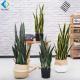 Aloe Agave Sisal Artificial Potted Plants For Indoor Living Room Decoration