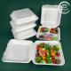 100% Sugarcane Bagasse 9x9 Clamshell Recyclable Takeaway Boxes Home Compostable 1 Compartment