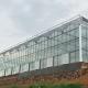 Large Agricultural Glass Greenhouse with Advanced Hydroponics System and Glass Cover