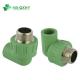Middle East Market Green PPR Pipe Fitting Male Thread Elbow with Brass for Hot Water