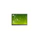 LMS320HF0X-001 3.2 inch LCD Screen 240*432 LCD Panel for Mobile Phone