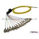 Multi-fiber Ribbon Fiber Optic Pigtail Flat Fiber Cable With 12 FC Connectors