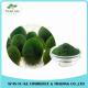 Nutrition Additive Raw Material of Cosmetic New Aga Product Chlorella Extract Powder