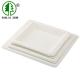 Recyclable Disposable Biodegradable Sugarcane Bagasse Plates Natural White Color Square