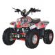 Electric Start 110cc 125cc Off-Road Motorcycle ATV All Terrain Vehicle For Adult Fuel