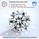 CVD DEF VS VVS Round Brilliant Cut 3ct + Lab Grown Diamonds IGI Certificate Wholesale Factory Supplier