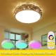 Multi light Colorful RGB ceiling fixtures with remote controller for home lighting (WH-MA-32)