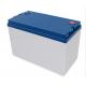 Deep Cycle High Capacity  100AH 12.8V  LifePO4 Battery Cell  With Monitor  For Electric Boat