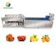 SS 380V Industrial Vegetable And Fruit Washing Machine