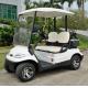 High Safe Mini Electric Vehicle Golf Cart With CE Certificate