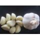 Spicy White Garlic Natural Agricultural Products