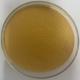 Dry Beer Yeast Extract Feed Additives With Crude Protein 50-70%