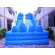 2014 New Giant Inflatable Water Slide for Adult/Biggest Inflatable Water Slide for Sale
